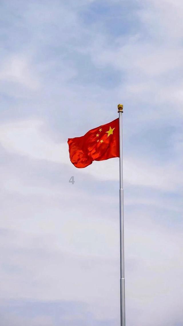 逃离天鹅森林